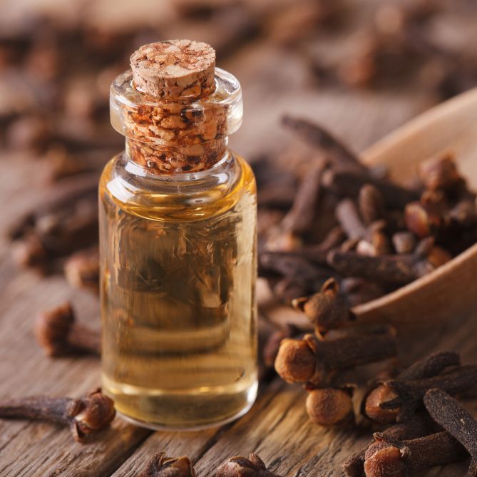 clove oil