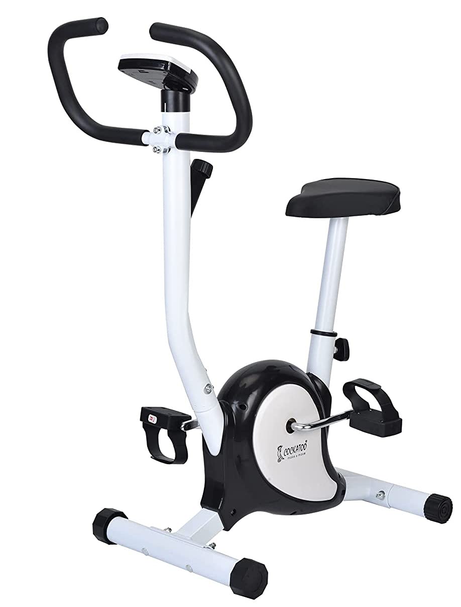 Cockatoo CB-01 Belt Drive Mechanism Upright Exercise Bike with 1 Year Warranty, (DIY, Do It Yourself Installation)